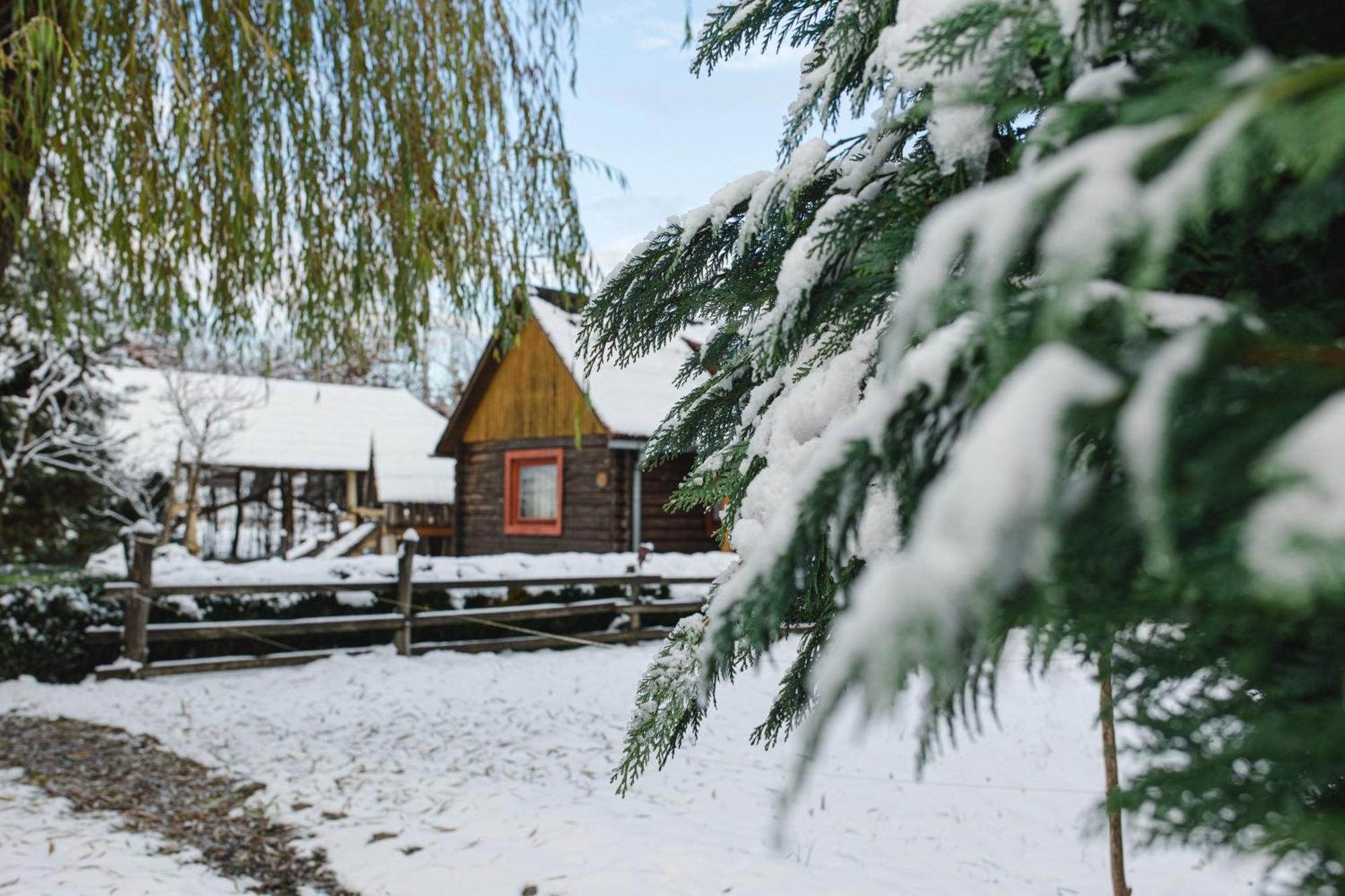 Kolyba Opryshkiv Nizhneye Selishche Exterior foto